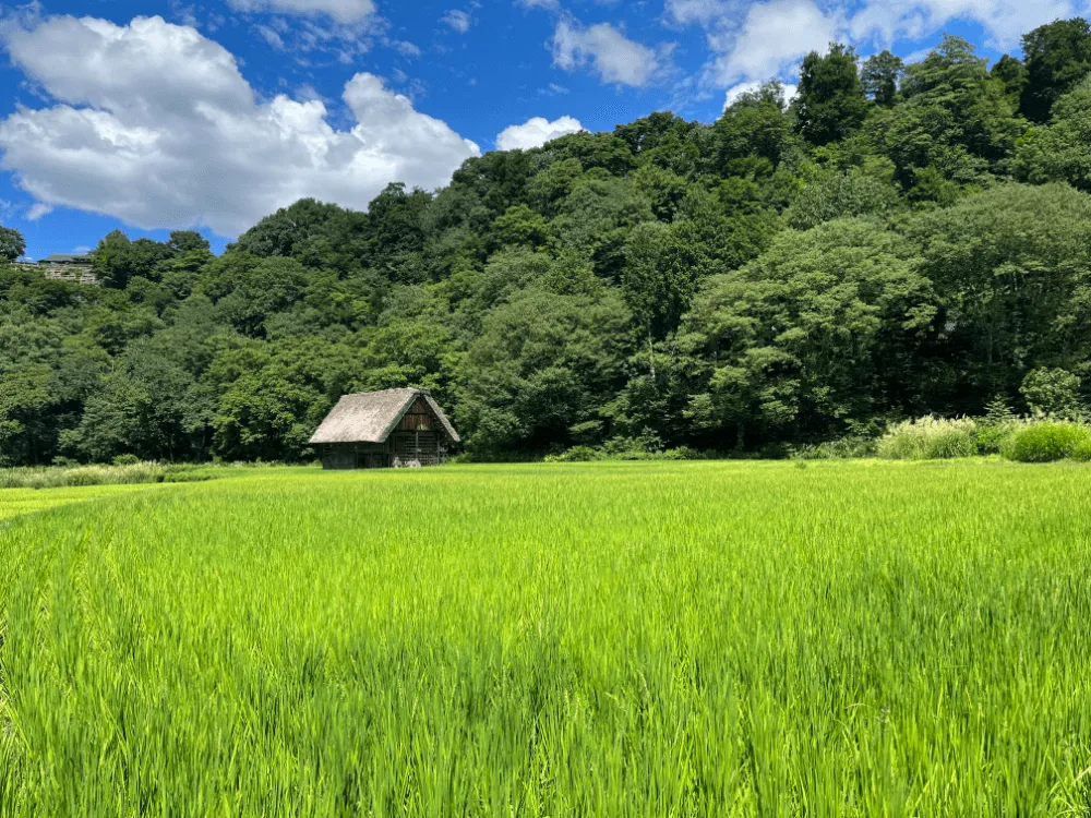 白川郷 6