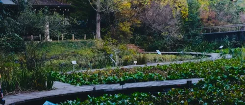 国立科学博物馆筑波実験植物園